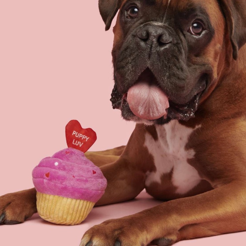 BARK PUPPY LUV CUPCKAKE DOG PLUSH